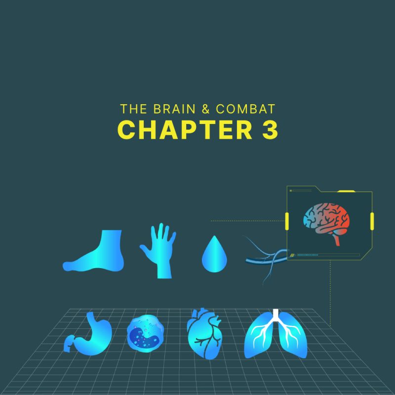 Chapter 3. - At the grappling competition – changes in the brain and the body