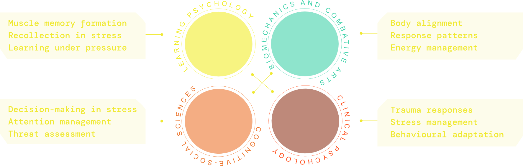 Level illustration-WIT multidisciplinary framework